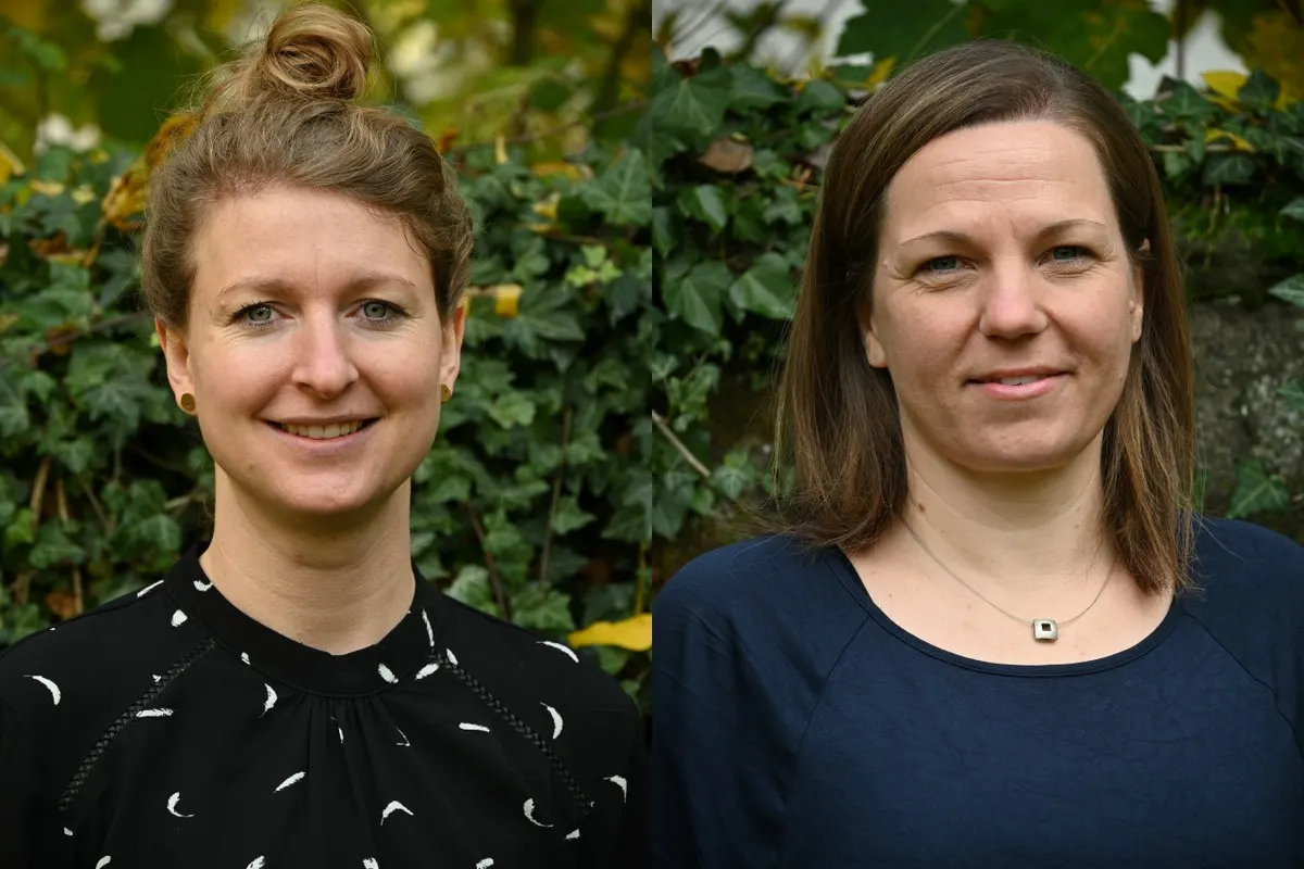 Fachberatung Pflegestellen